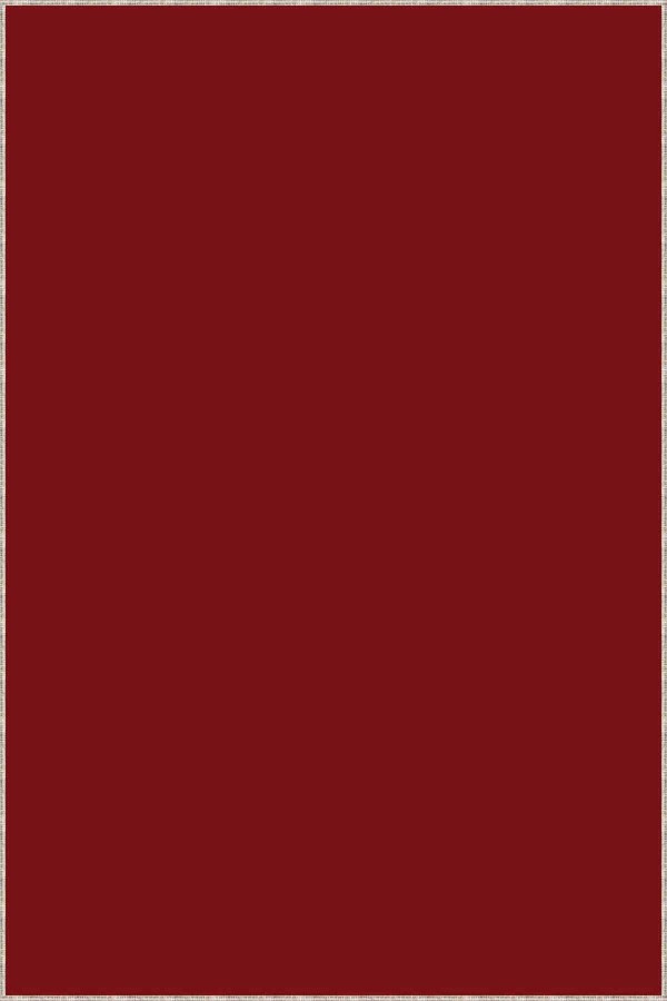 Bordo Sade Desensiz Kaymaz Tabanlı Dekoratif Halı AR011