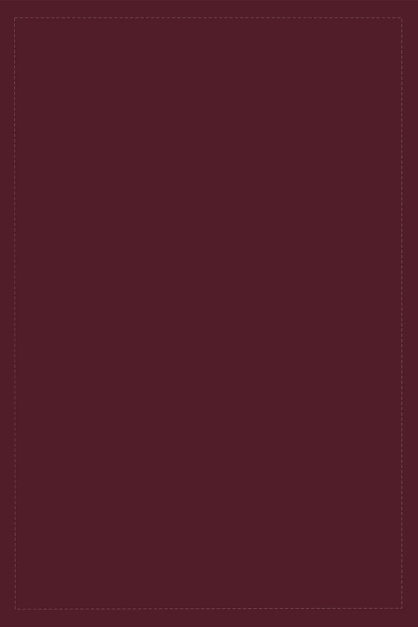 Bordo Desensiz Sade Premium Amerikan Servis ASR007