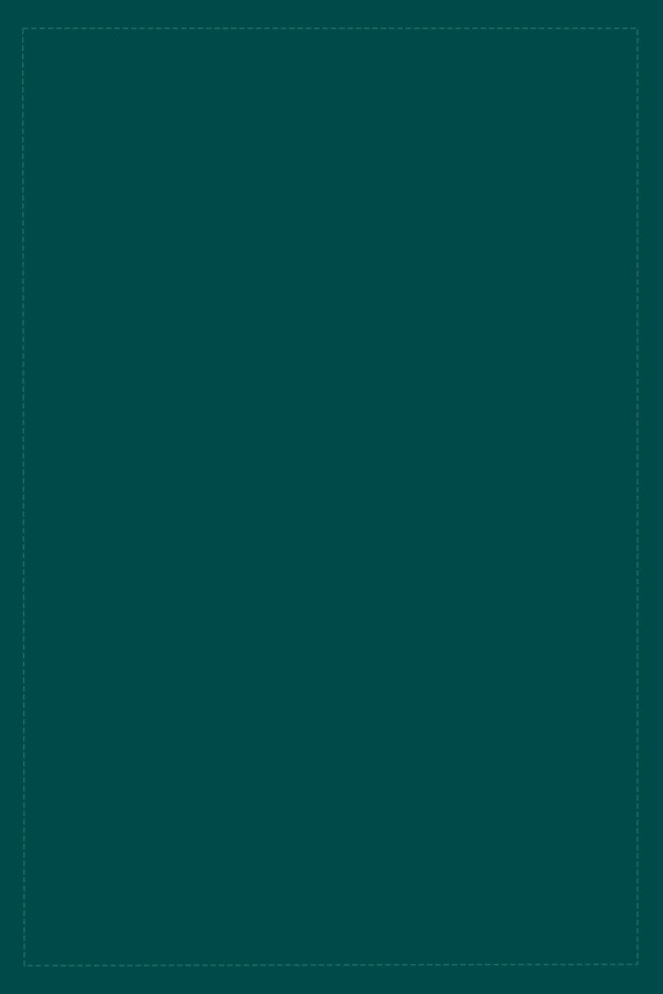 Petrol Tek Renk Sade Düz Premium Amerikan Servis ASR019