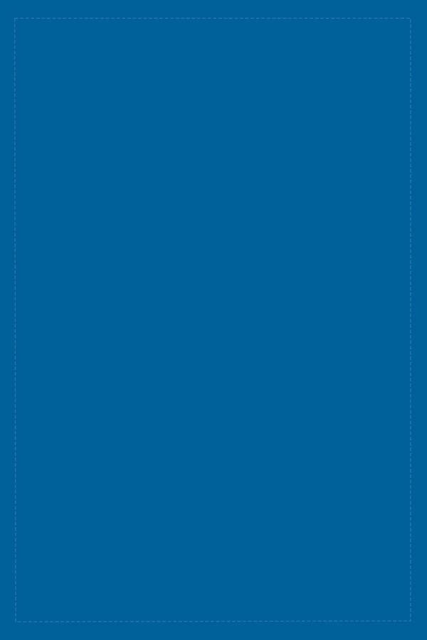 Mavi Renk Desensiz Sade Premium Amerikan Servis ASR021