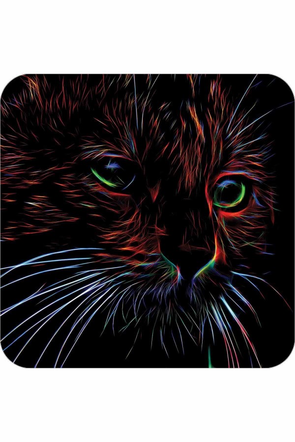 Siyah Kedi Desenli Banyo Halısı Klozet Paspas Seti BS295